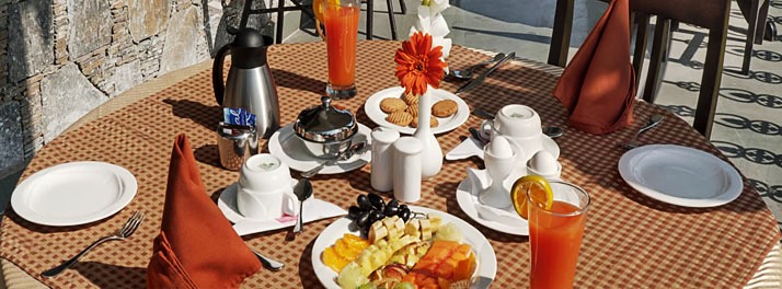 1497/The Amargarh - Udaipur 12.jpg